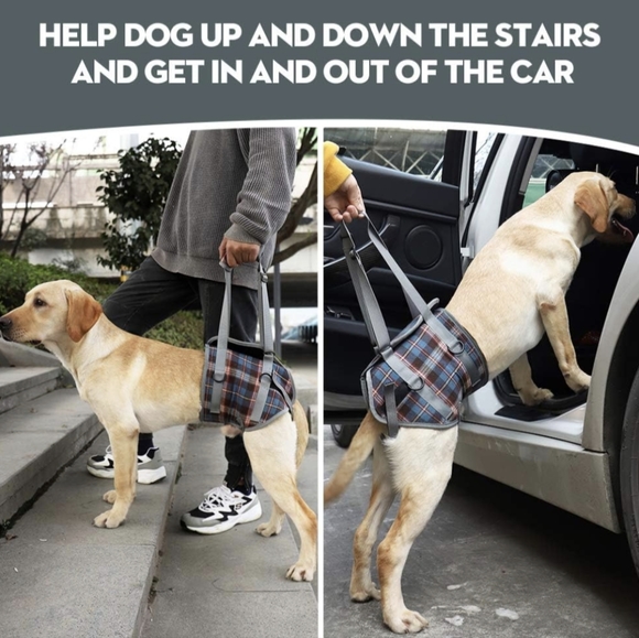 🐾 Dog Recovery Sling Lift Harness Portable Pet Rehabilitation Vest Adjustable - Picture 7 of 15